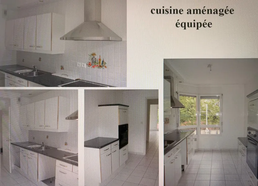 Appartement Montée Joseph Serre à Caluire-et-Cuire