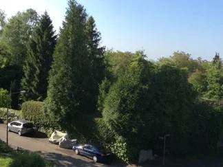 Wohnung Holsteinstraße in Wiesbaden