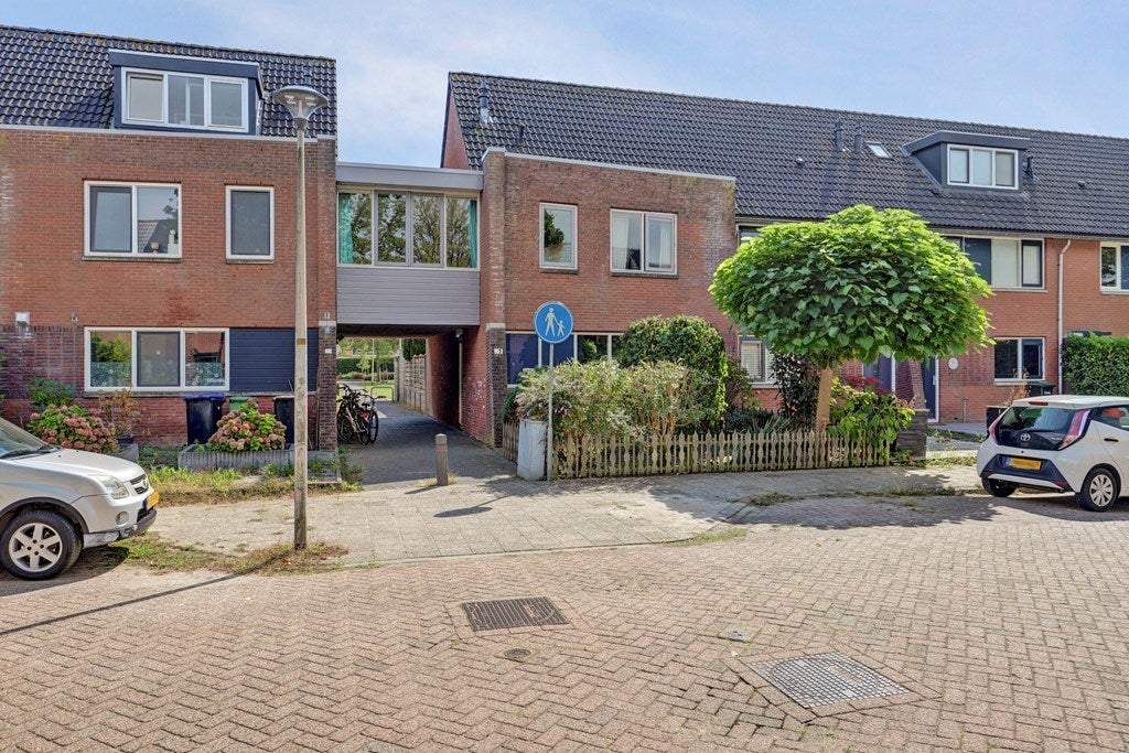 Grote Beer 37 in Zeewolde