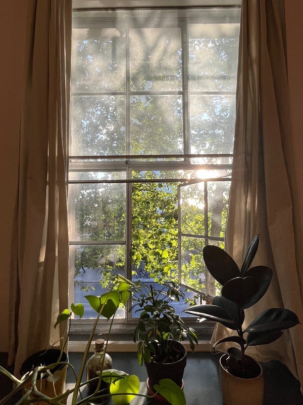Room Stoke Newington Road in Greater London