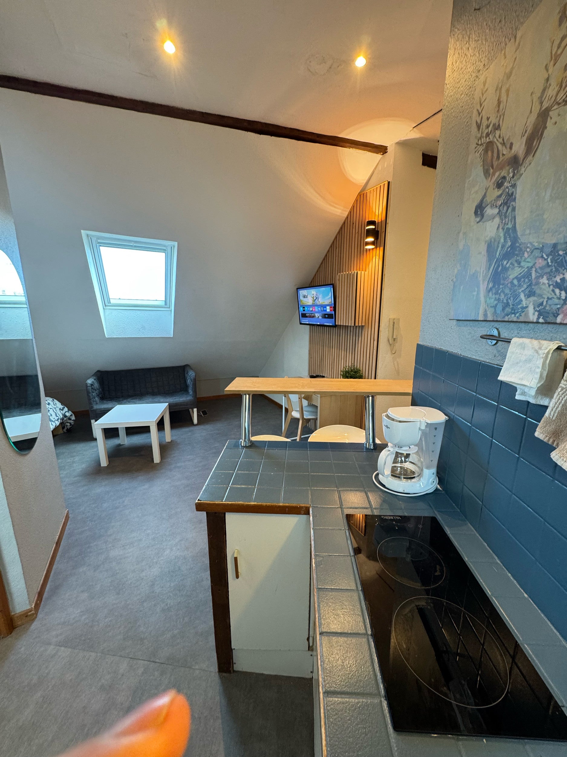Flat Rue de la Rheinmatt in Strasbourg