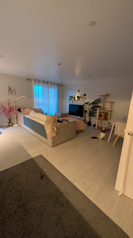 Room Trinity Way in Greater London
