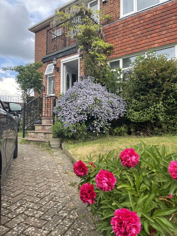 House Beaulieu Rise in Rochester
