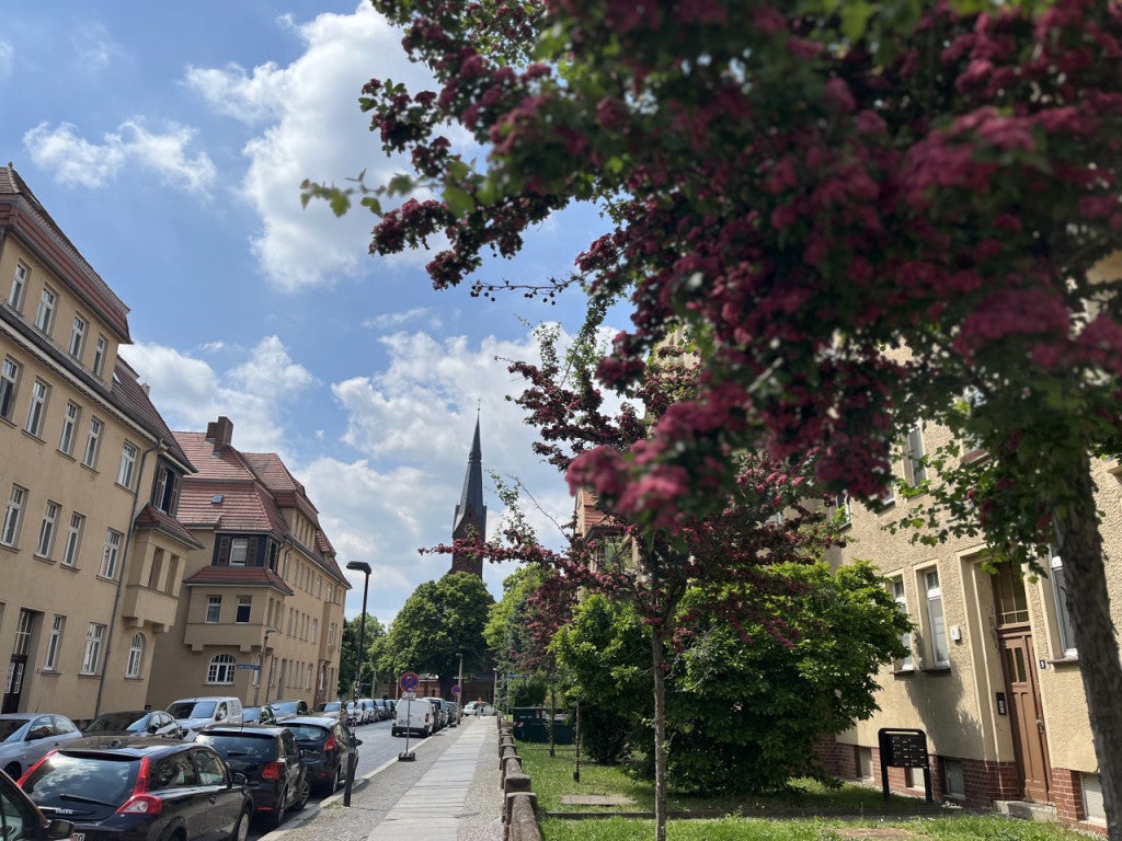 Wohnung Joseph-Haydn-Straße in Halle (Saale)
