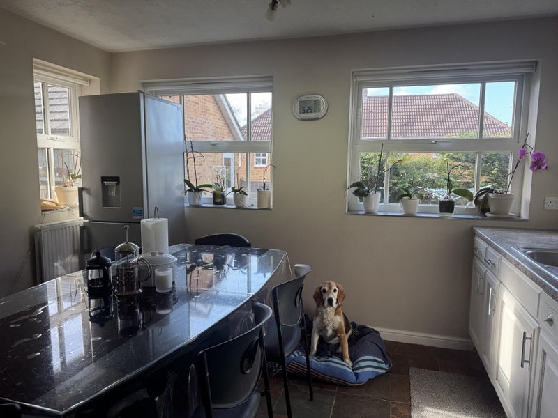 Room Pallingham Drive in Crawley