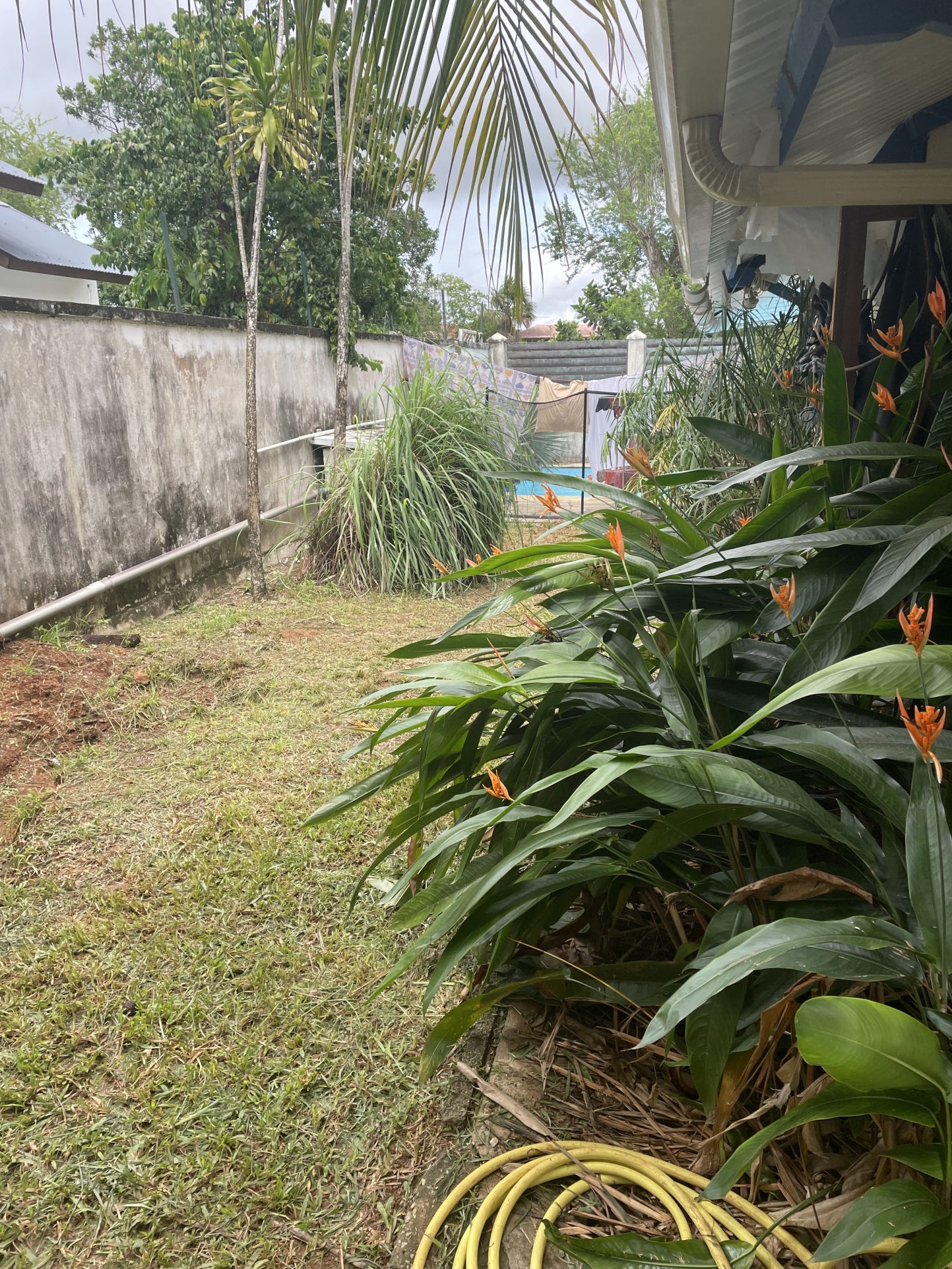 Appartement Avenue de la Passoura à Kourou