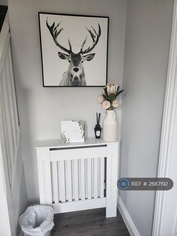 Room Rottingdean Close in Stockton-on-Tees