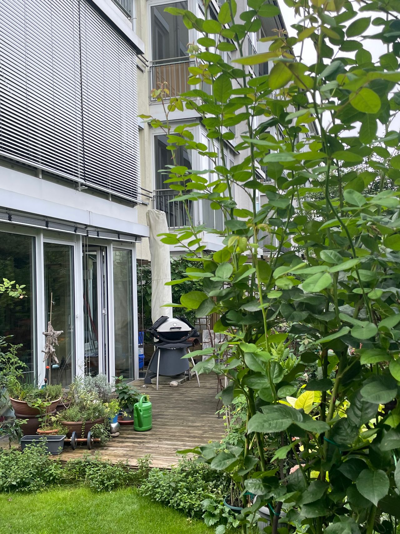Wohnung Raimundstraße in Frankfurt am Main