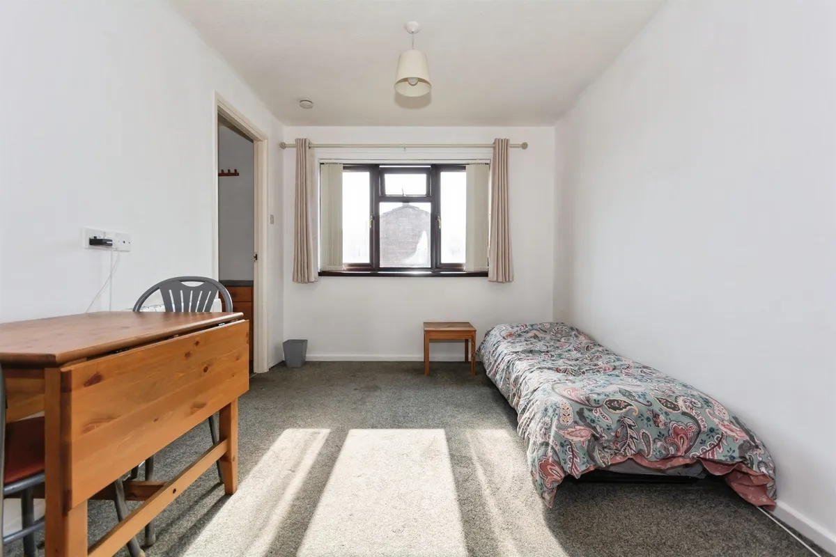 Flat Boarhound Close in Birmingham