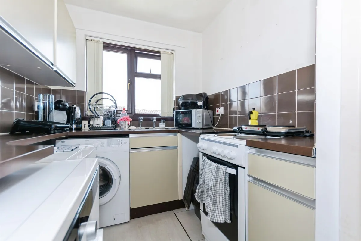 Flat Boarhound Close in Birmingham