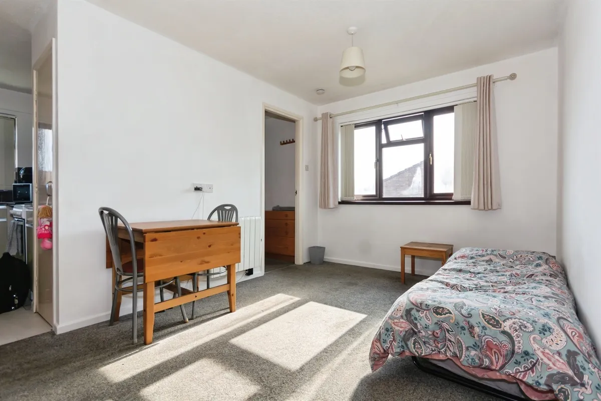 Flat Boarhound Close in Birmingham