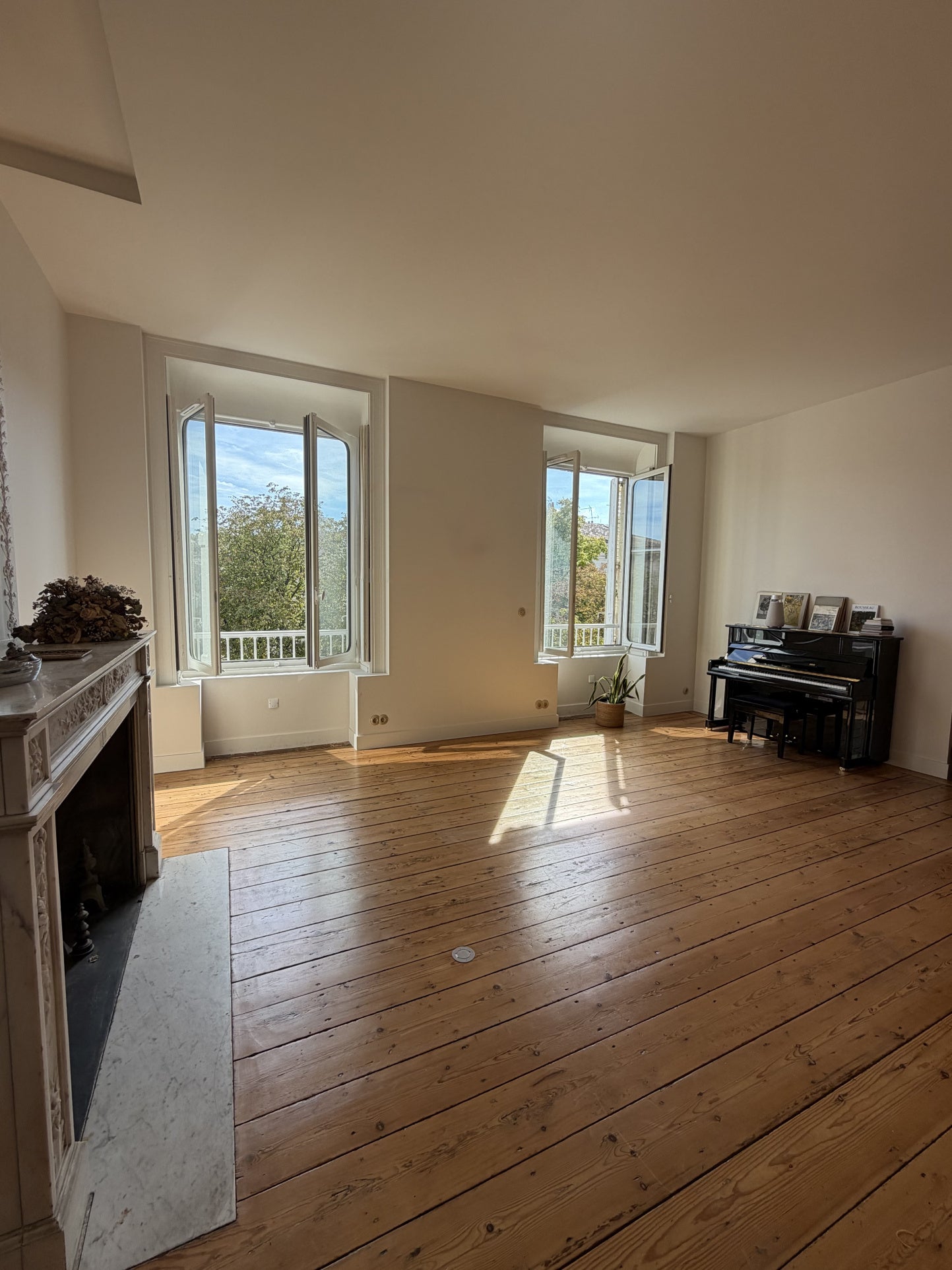 Appartement Cours Xavier Arnozan à Bordeaux
