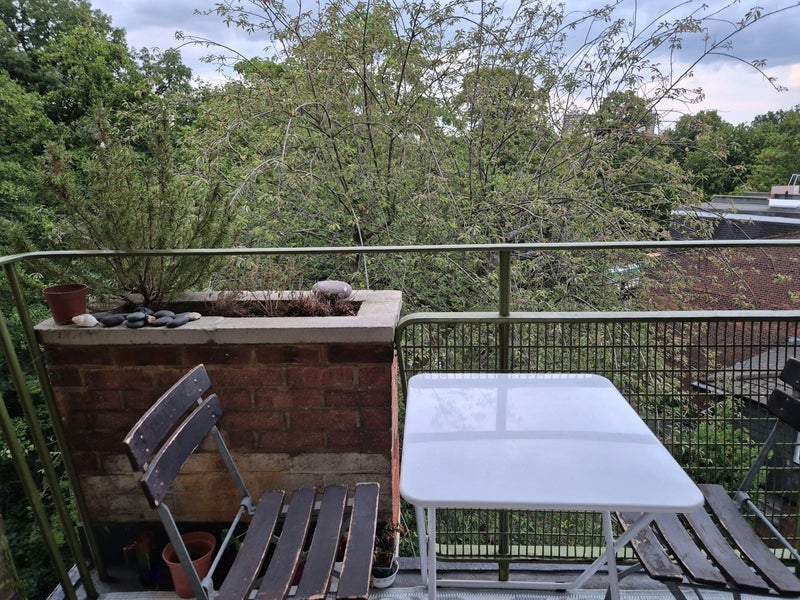 Room Sewardstone Road in Greater London