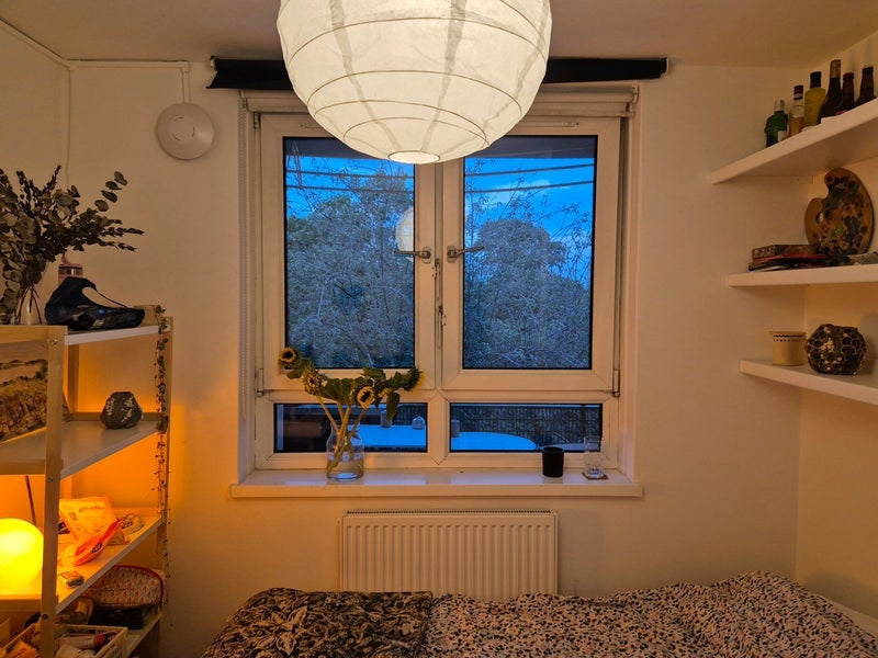 Room Sewardstone Road in Greater London