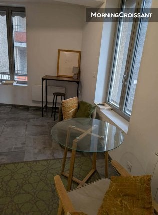 Appartement Avenue Roger Salengro à Villeurbanne