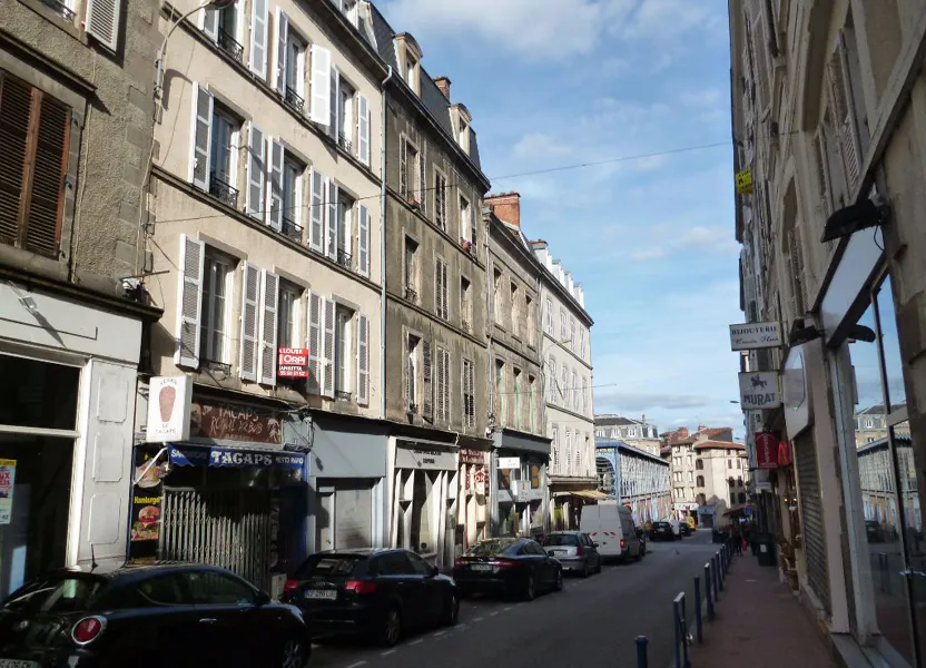 Flat Avenue Jean Foucaud in Limoges