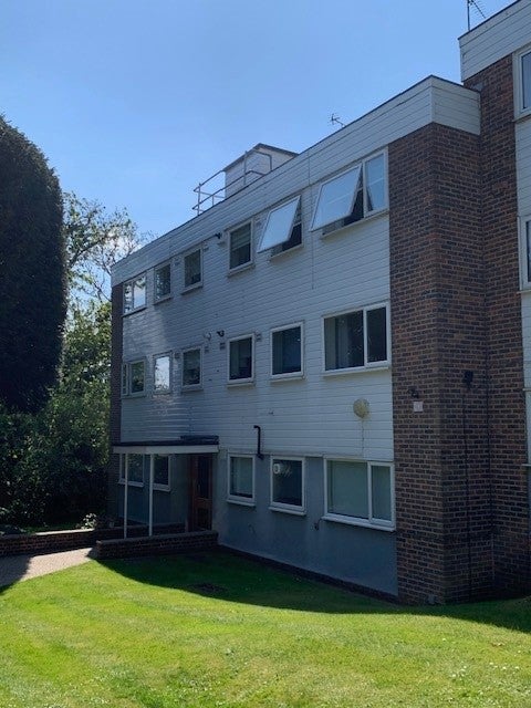 Flat Greenhill in Epping Forest