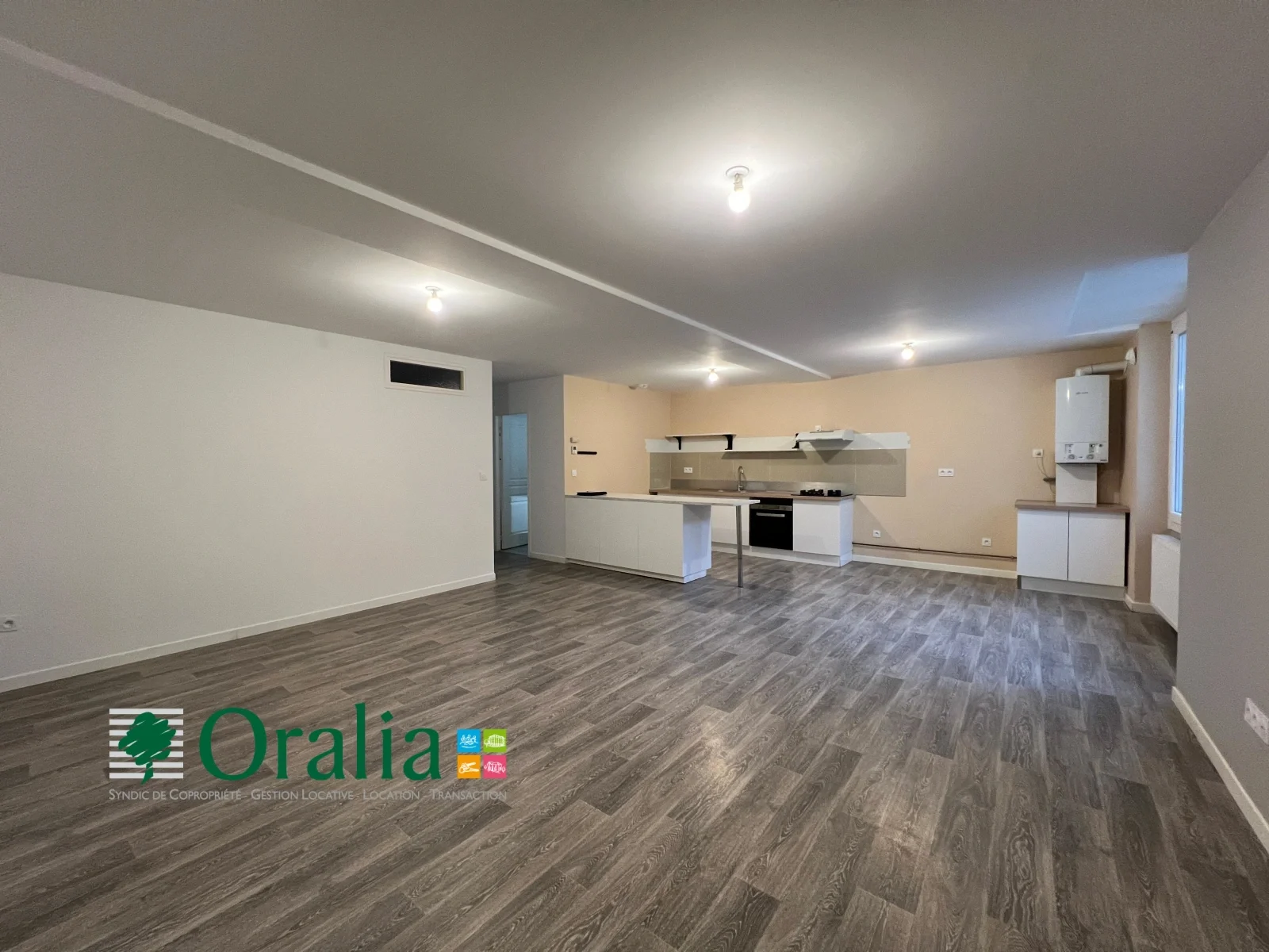 Flat Rue Serroux in Tarare