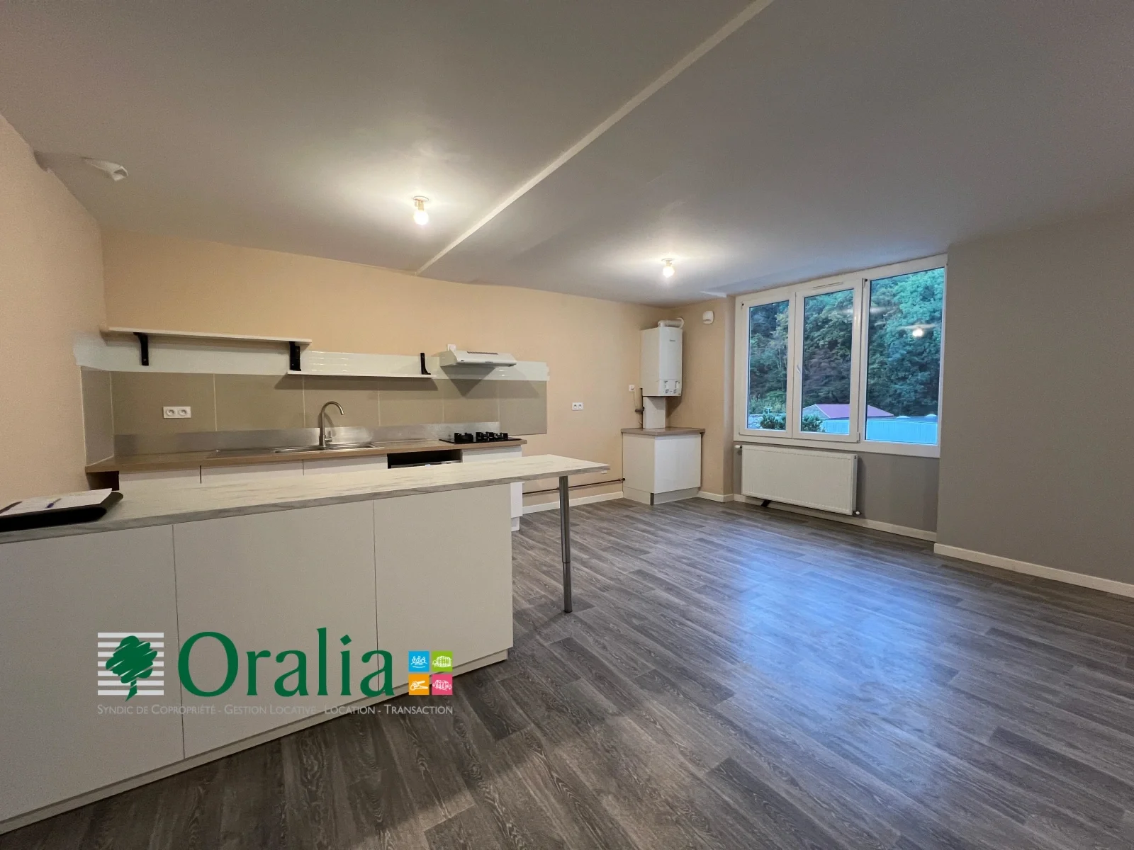 Flat Rue Serroux in Tarare