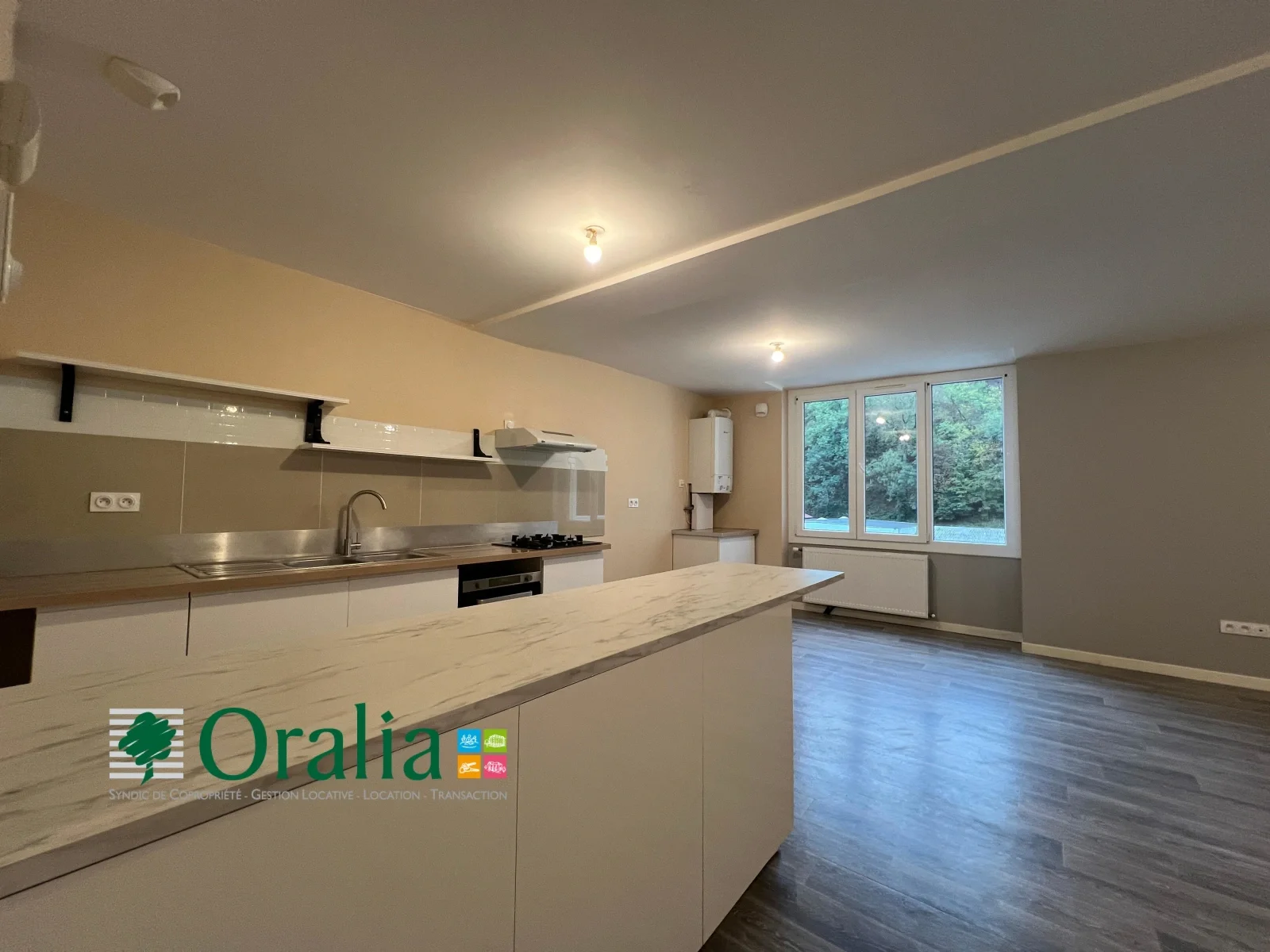 Flat Rue Serroux in Tarare