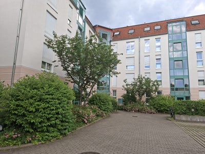 Zimmer Kipsdorfer Straße in Dresden