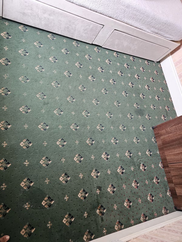 Room Oak Avenue in Newark and Sherwood