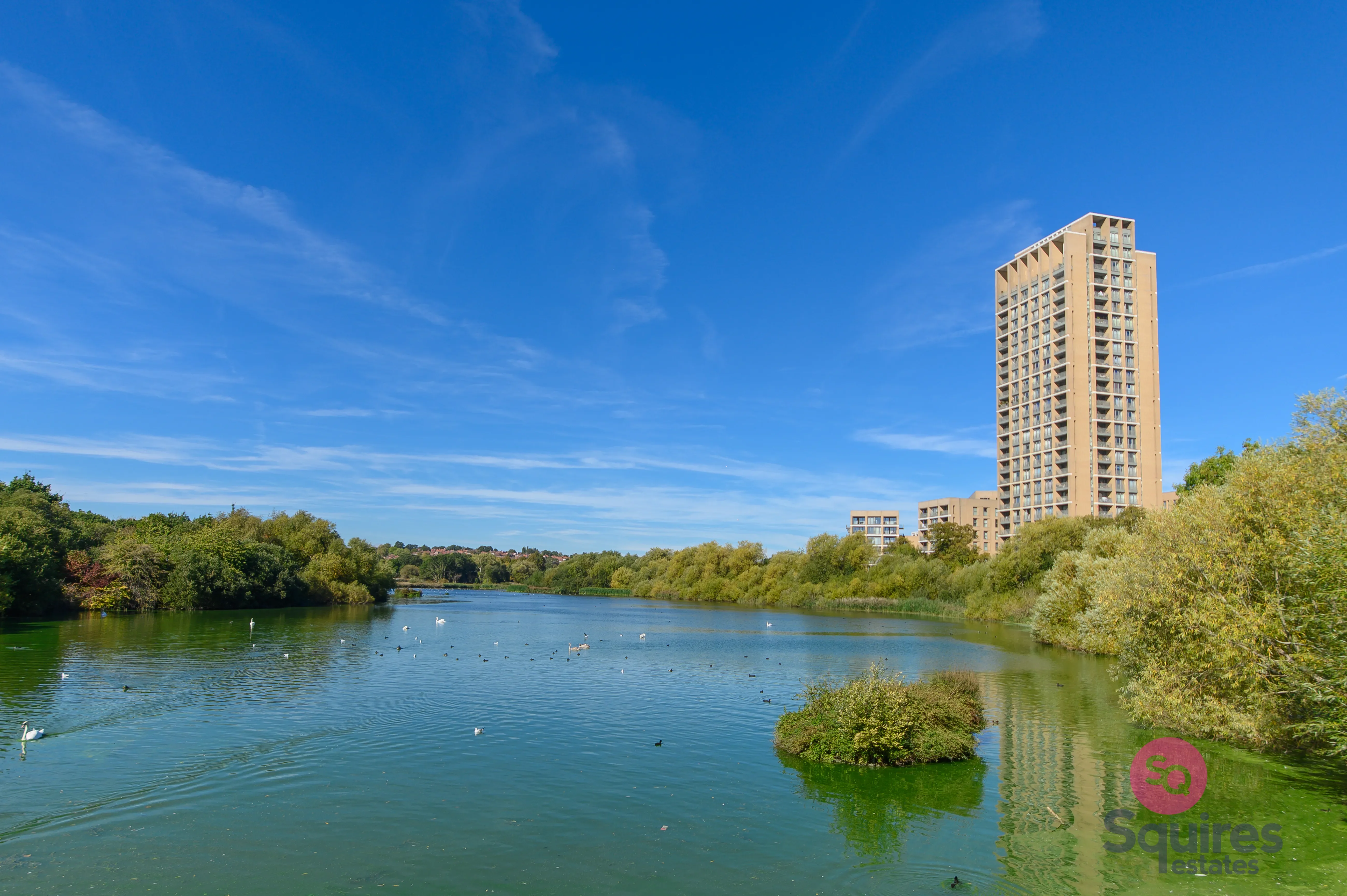 Flat Shearwater Drive in Greater London