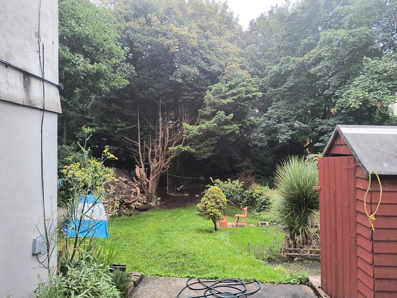 Room Lipson Vale in Plymouth