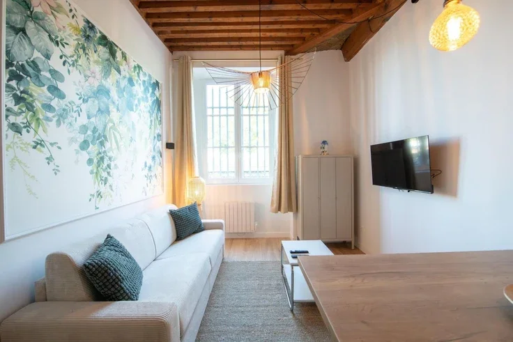 Flat Quai André Lassagne in Lyon
