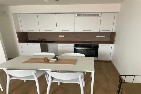 Flat Allée Léonor Fini in Montpellier