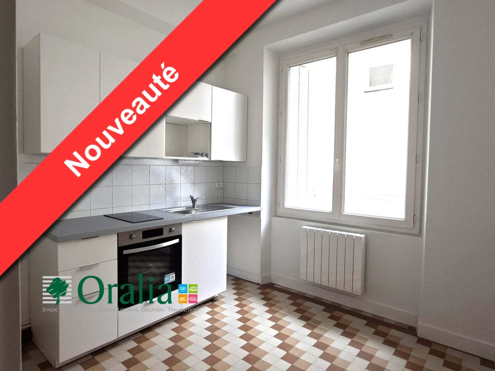 Appartement Rue Capitaine Camine à Grenoble