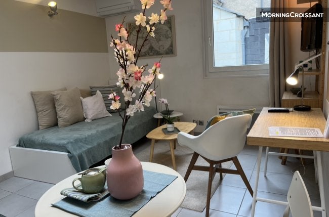 Flat Place Gaston Paillhou in Tours