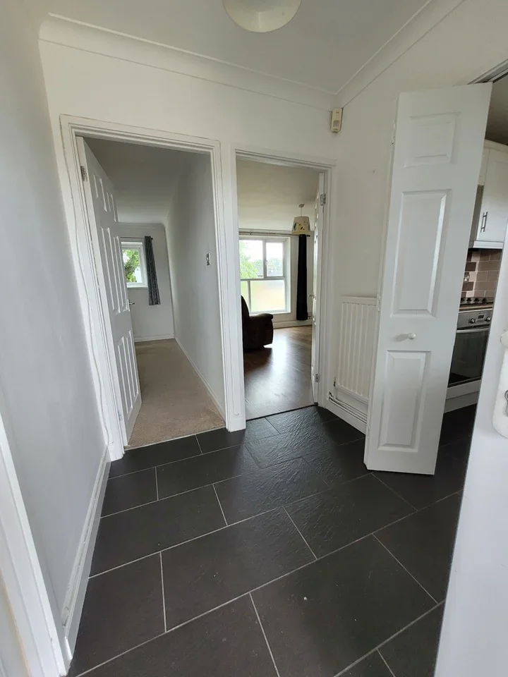 Flat Thistledown in Basildon