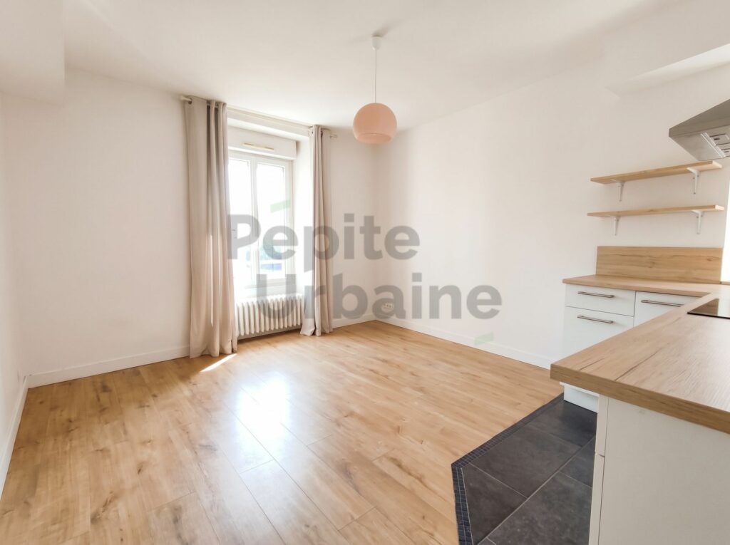 Flat Rue de Châteaugontier in Angers