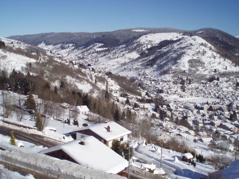 House Rampe des Carriers in La Bresse