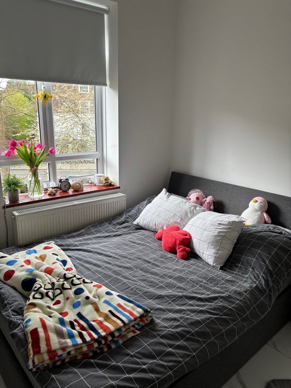 Room North End Road in Greater London
