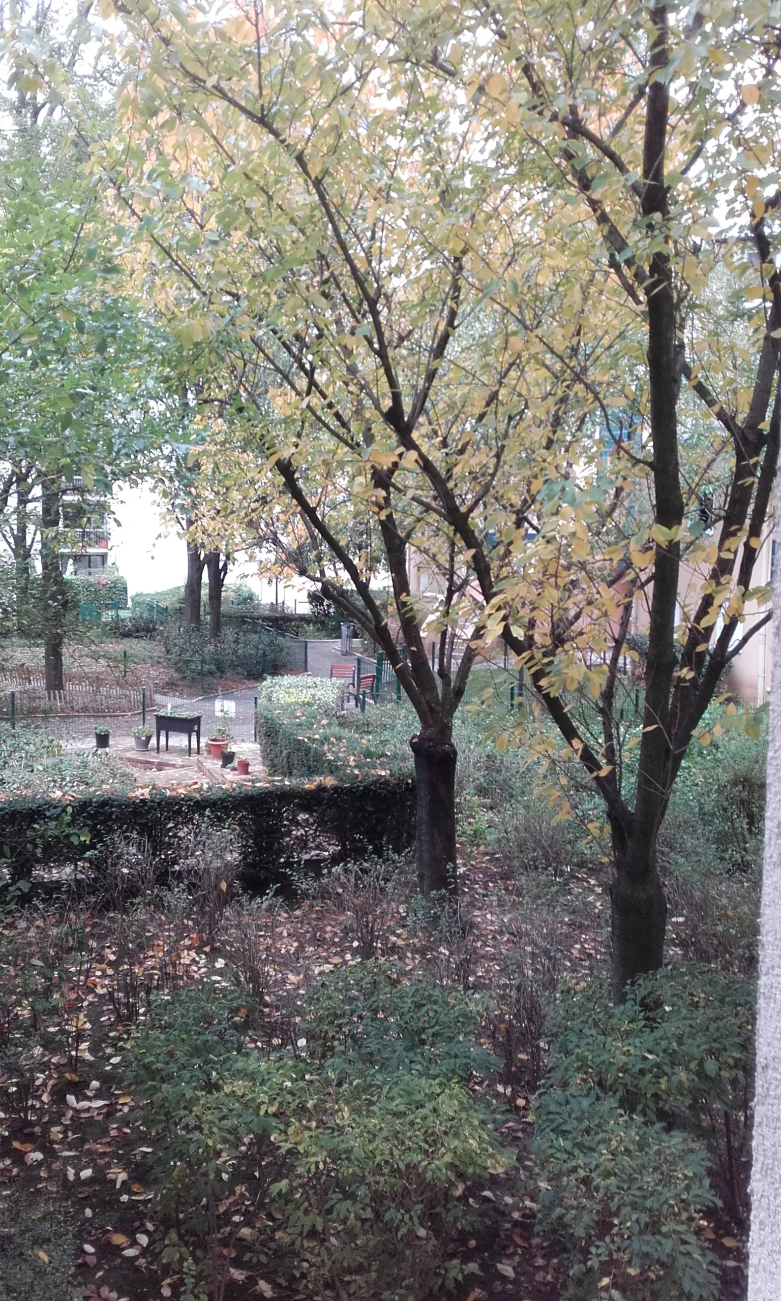 Chambre Rue Louis Vicat à Paris