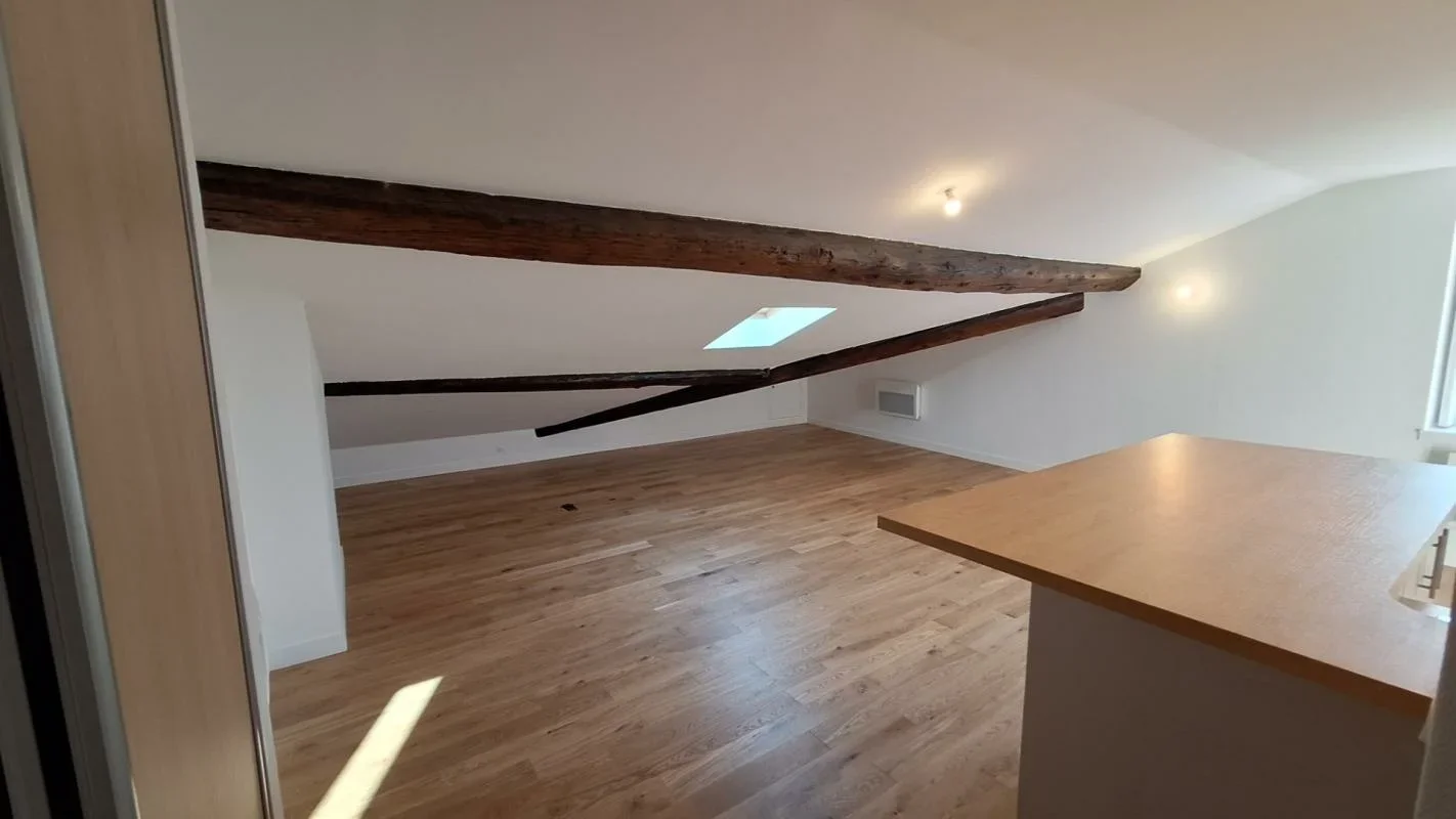 Flat Rue Mulet in Lyon
