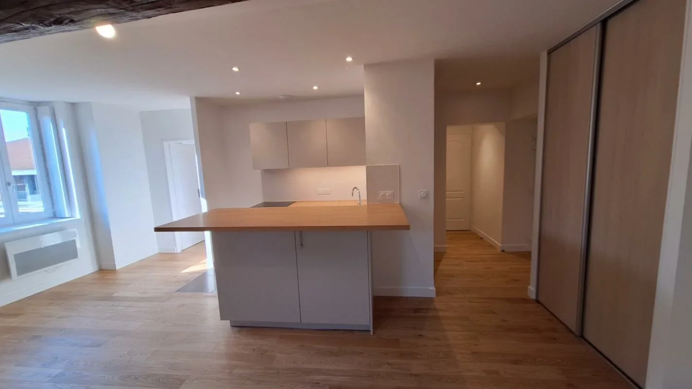 Flat Rue Mulet in Lyon