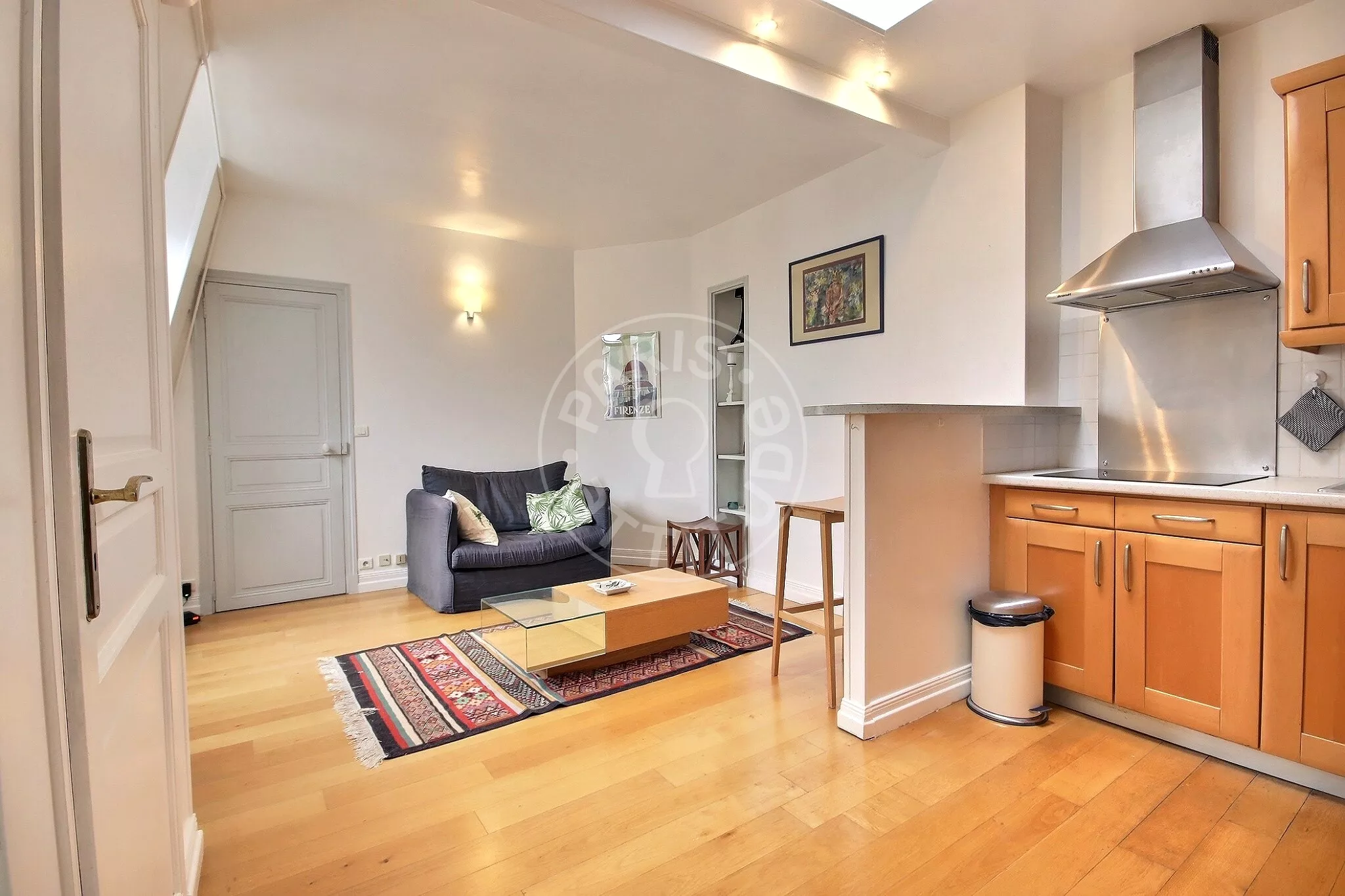 Flat Rue des Martyrs in Paris