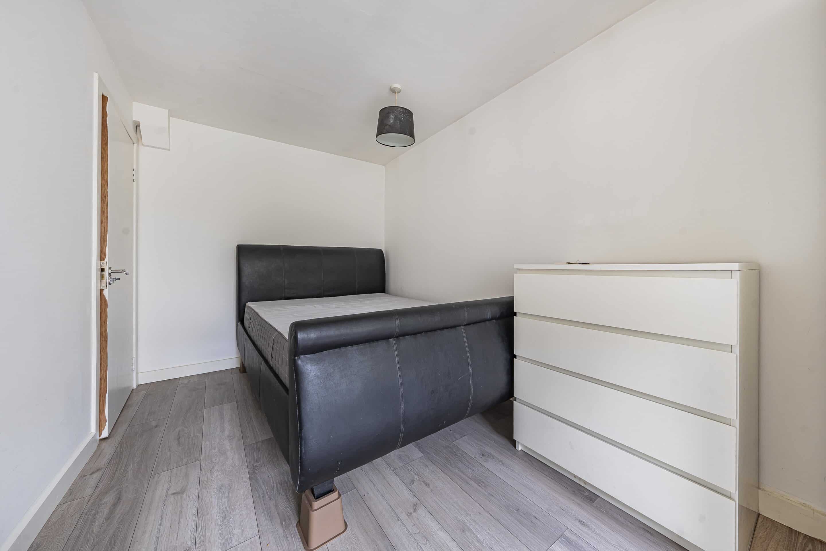 Flat Black Horse Close in Windsor