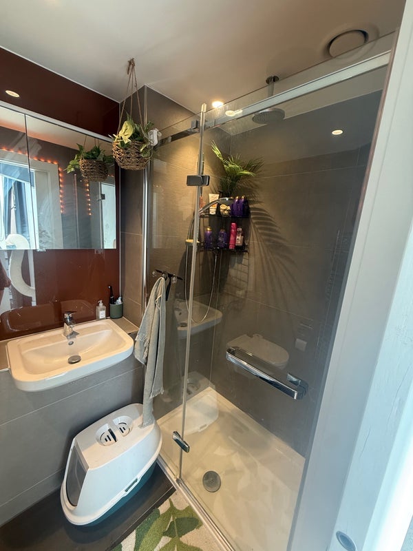 Room Kingsland High Street in Greater London