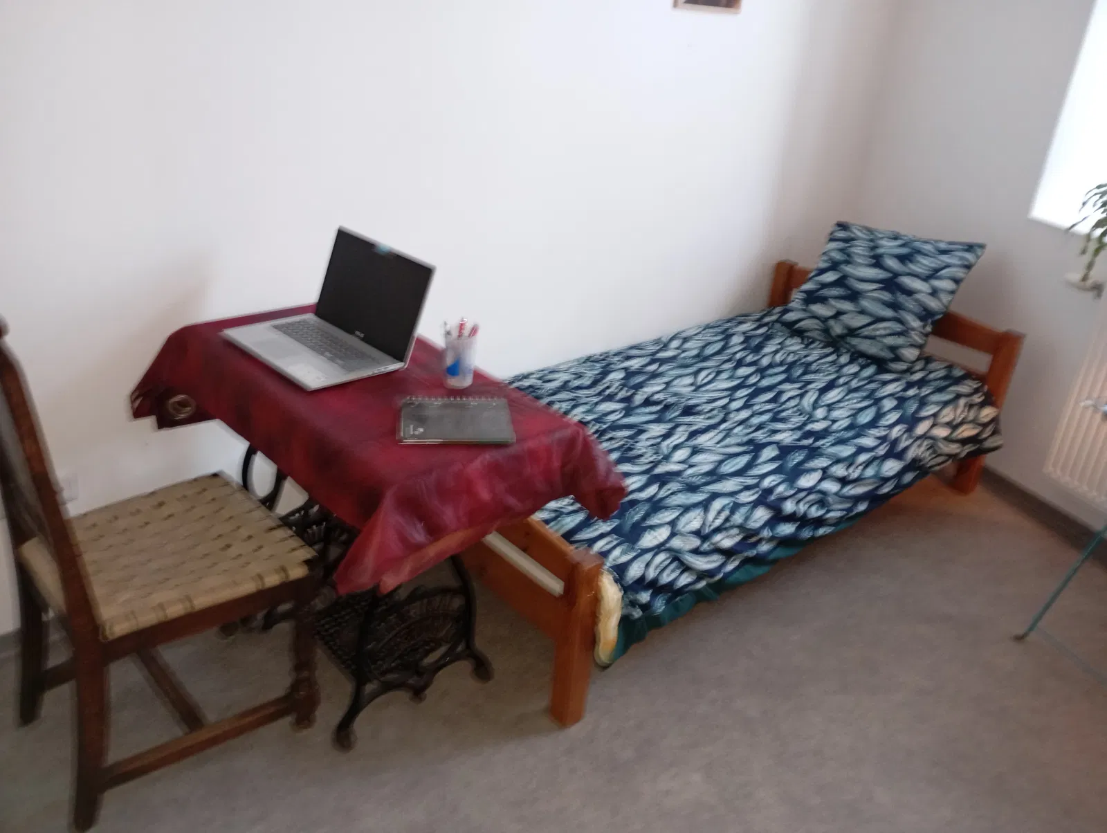 Room Route de Genissieux in Peyrins