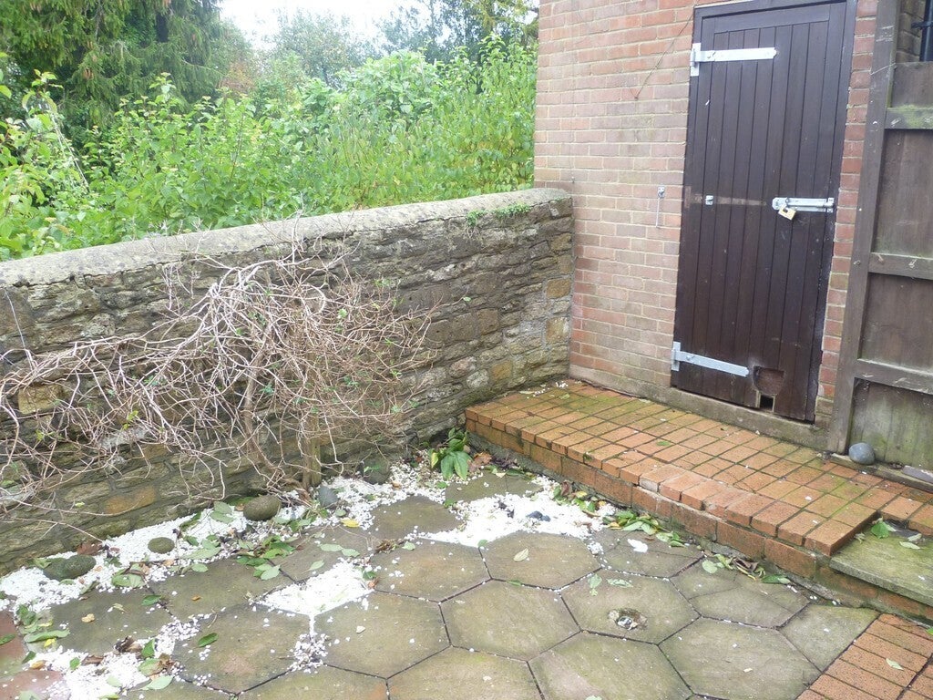 House Kendrick Close in Westbury