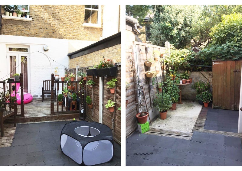 Room Merivale Road in Greater London