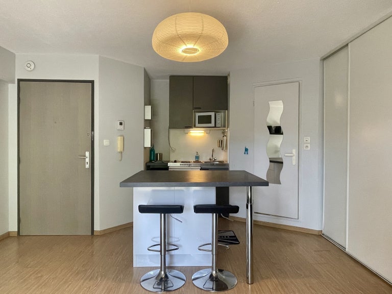 Appartement Rue du Professeur Beauvisage à Lyon