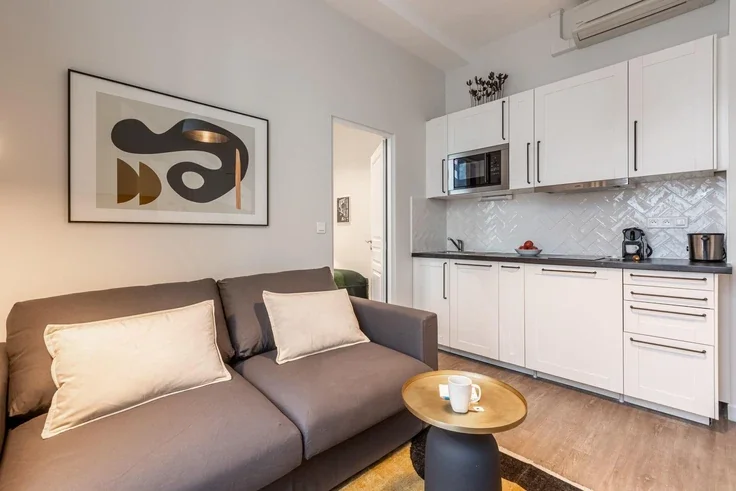 Flat Rue Monsigny in Paris