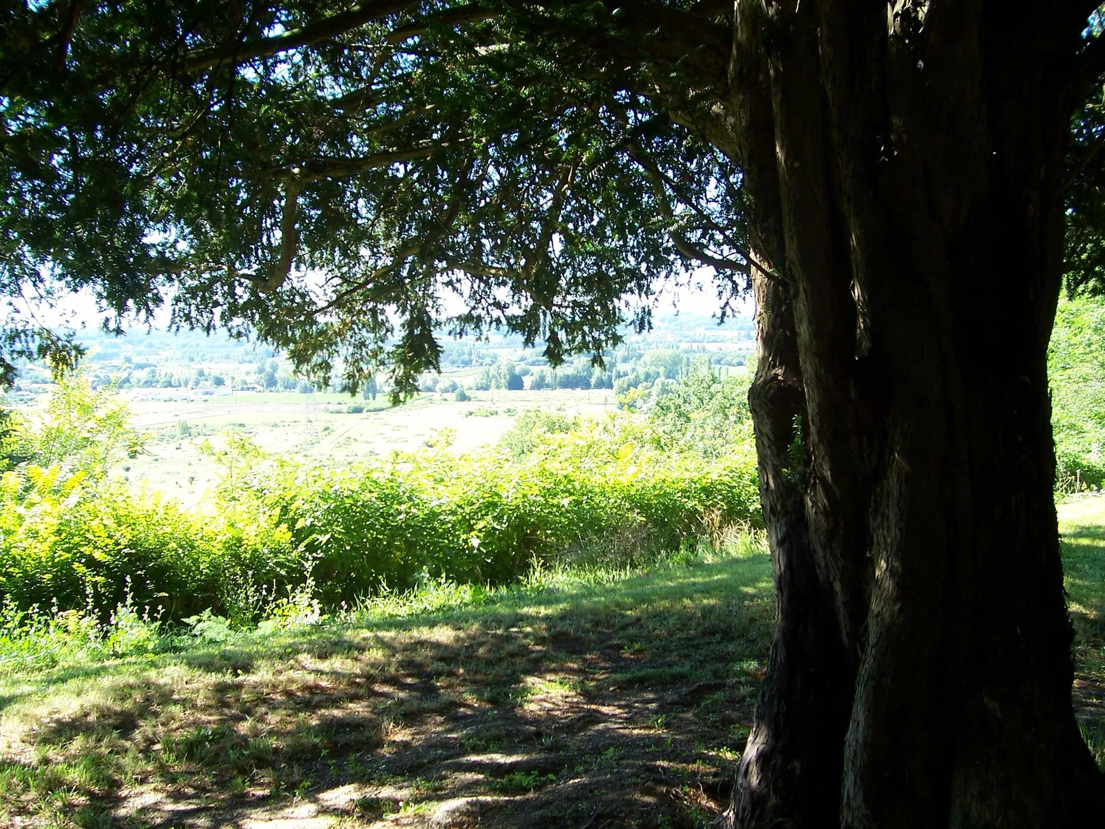 Room Route de Couin in Saint-Antoine-de-Breuilh