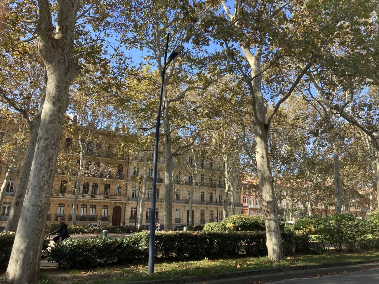 Appartement Rue de Metz à Toulouse