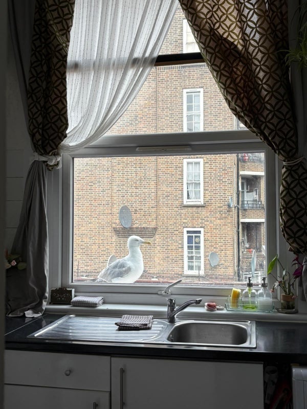 Room Edgware Road in City of Westminster